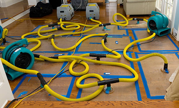 Professional Sewage Cleanup technician working in Sterling, IL
